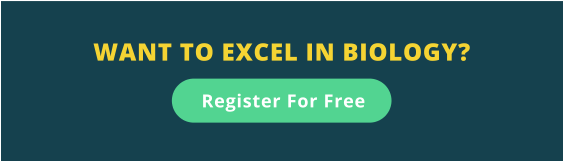 Biology Banner