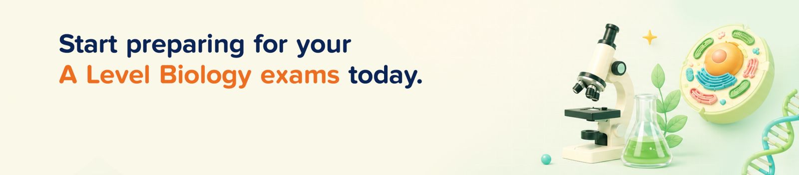 Choose a Premium or Custom learning plan